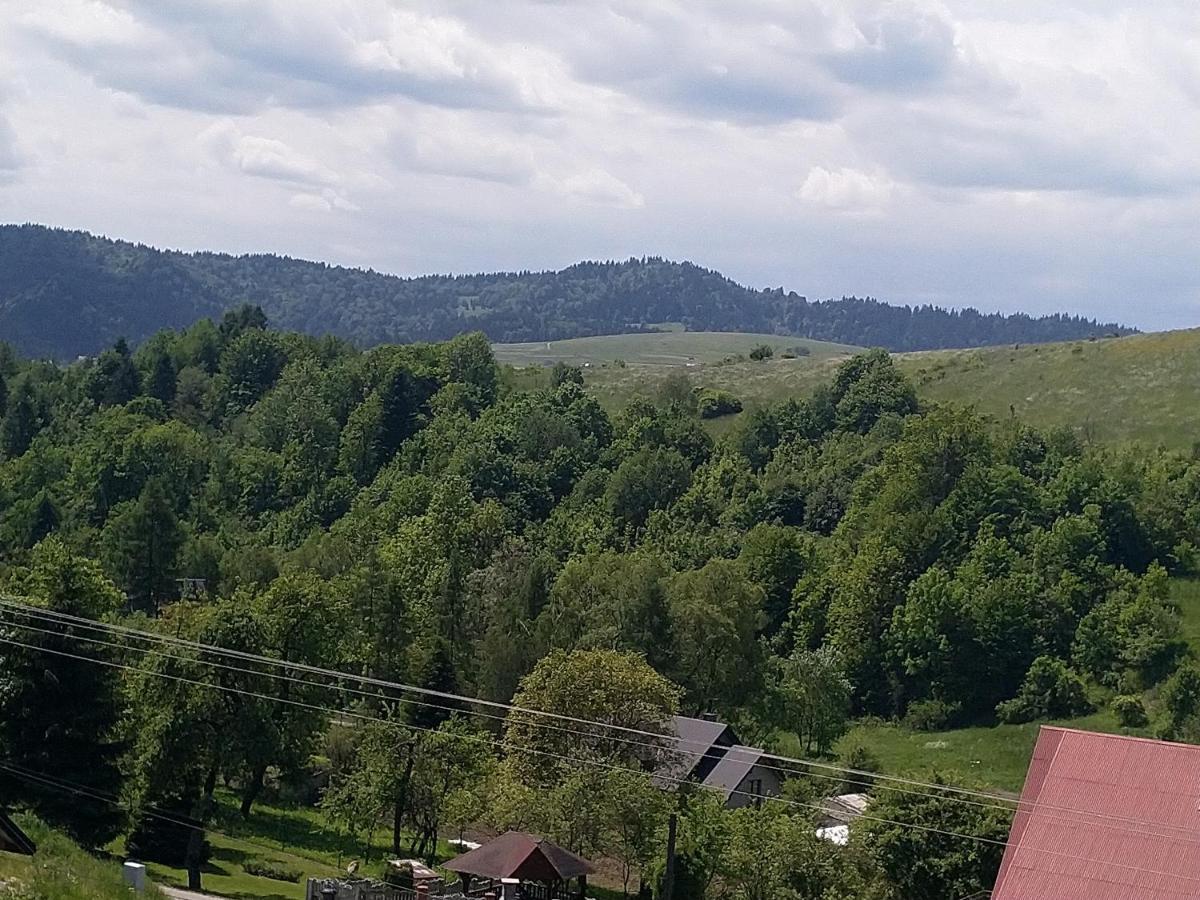 Vila Domki Nad Strumykiem Krościenko Exteriér fotografie