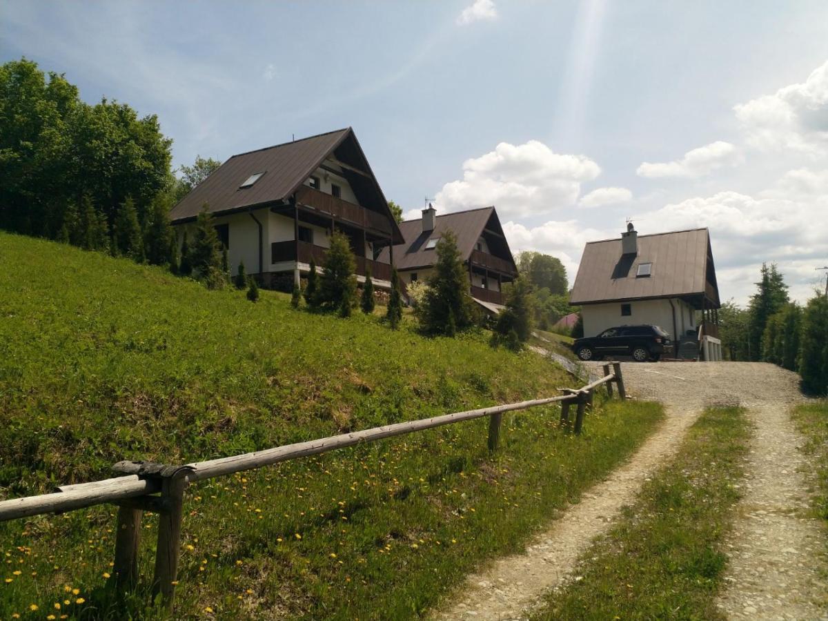 Vila Domki Nad Strumykiem Krościenko Exteriér fotografie